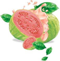 Guava Juice Guava Juice