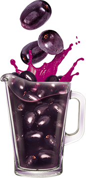 Jamun Juice Juice Jamun Juice Juice